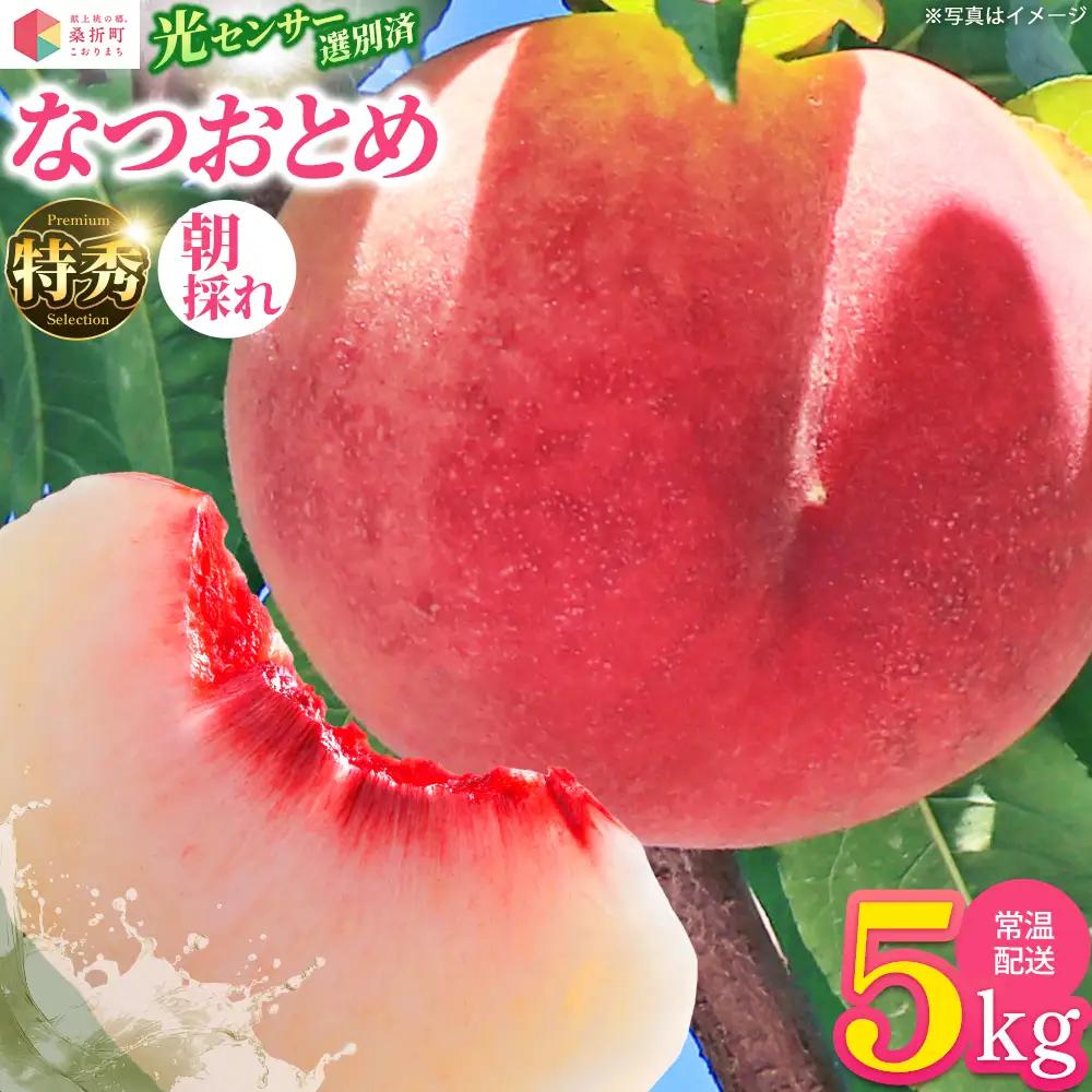 もも【なつおとめ・2027年産先行予約】特秀5kg【07301-0174】