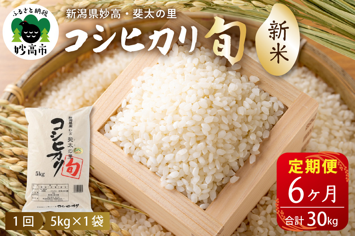 
                  【定期便】令和7年産新潟県妙高産斐太の里コシヒカリ「旬」5kg×6回（計30kg）
                