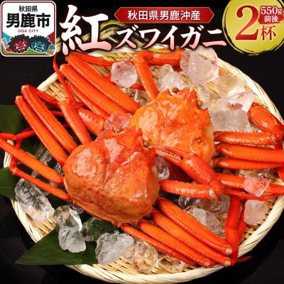 ふるさと納税 男鹿市 男鹿沖産紅ズワイガニ 550g 前後×2杯 男鹿なび 蟹 国産 秋田|23_ogn-150201