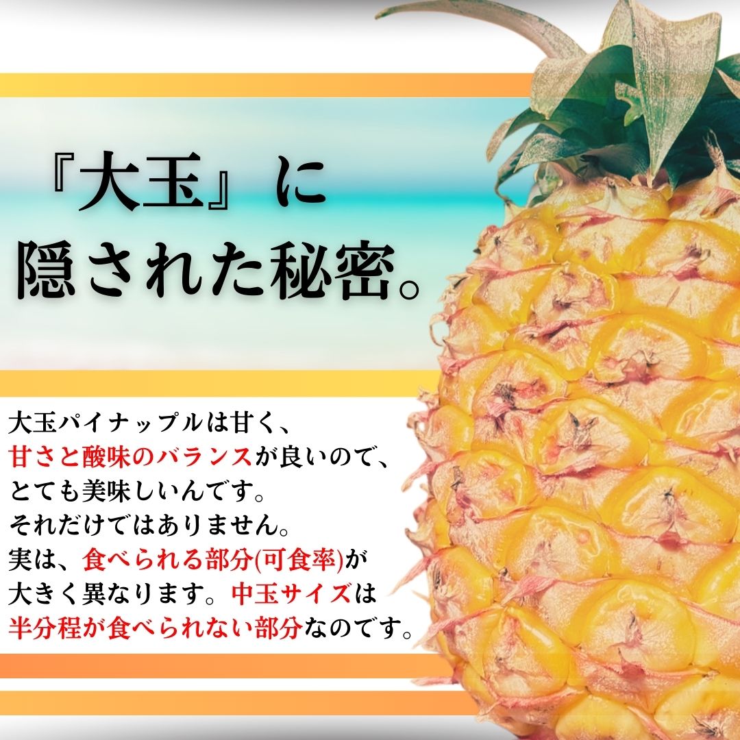 【先行予約】夏実パイン（ハワイ種）大玉6個 計7.8kg 《6月上旬より順次発送》SI-49-1