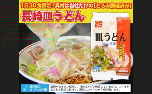 【全12回定期便】《具材付》長崎冷凍皿うどん