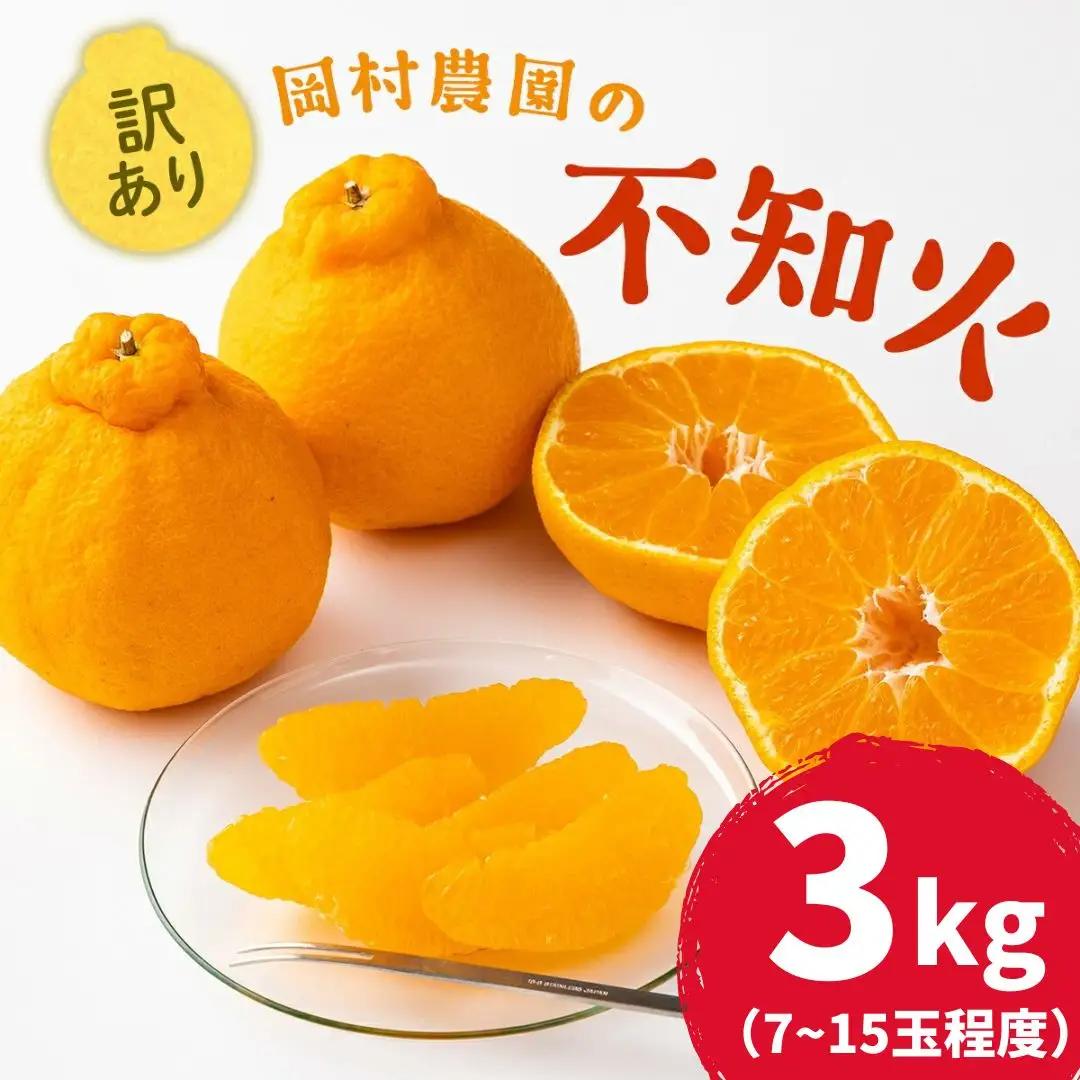 【 不知火 】訳あり 不知火 約 3kg dp007