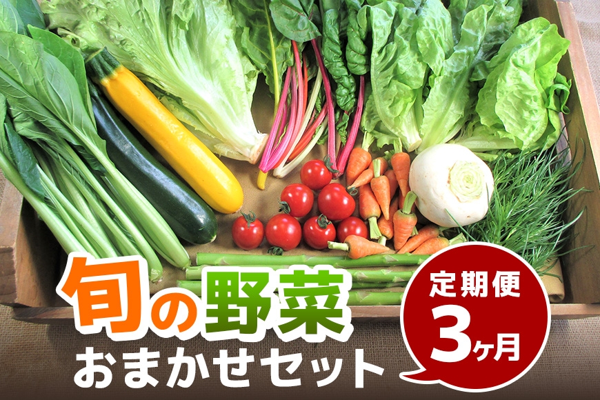 
                  [№5895-0456]【ふるさと納税】旬 野菜 セット 詰め合わせ 地元野菜 8～12種 2～8kg 定期便 3か月 毎月1回お届け 国産 おまかせ 食材 産地直送 お楽しみ 季節 やさい  新鮮野菜 人気 農家 厳選 おすすめ お取り寄せ 広島 安芸高田市 小さな農家がお届けするふるさと旬野菜セット
                