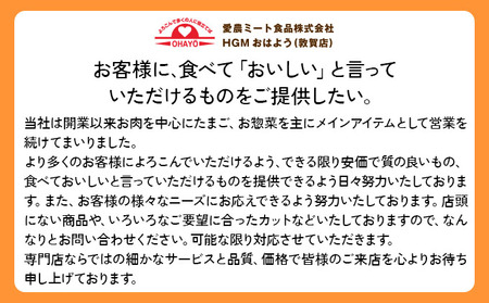 精肉店仕込みの ミンチカツ 10個入り[002-a009] 