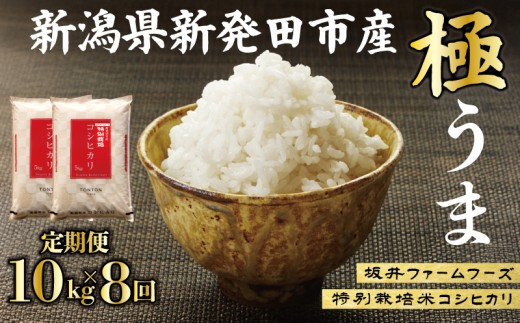 令和8年産 コシヒカリ 新潟 10kg×8か月 坂井ファーム 特別栽培米コシヒカリ 米 お米 定期便 10kg 5kg×2袋 80kg 8か月 新潟 新発田 コシヒカリ seidaSK008