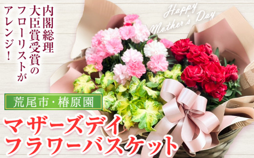 花 母の日 マザーズデイ フラワーバスケット 1個 椿原園《2026年5月上旬-5月末頃出荷》椿原園 お花 花 ギフト 贈答 プレゼント インテリア 先行予約