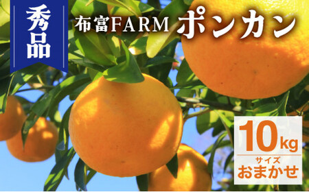 NT2-7-06 ＜先行予約＞【kg数が選べる】秀品ポンカン　おまかせ　10kg