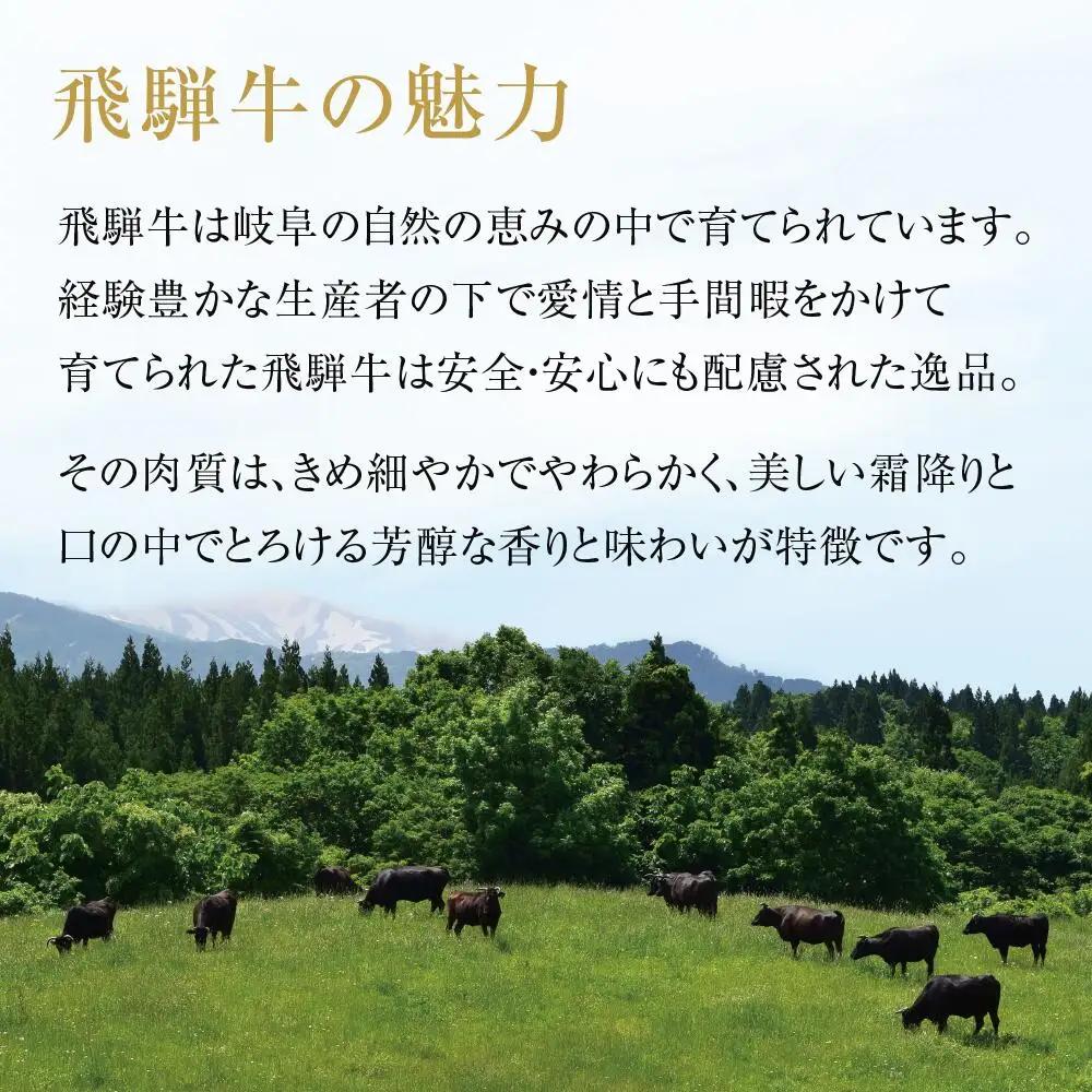 飛騨牛 結旨豚 食べ比べ セット 計1.3kg 飛騨牛 飛騨高山ミート [MS021]