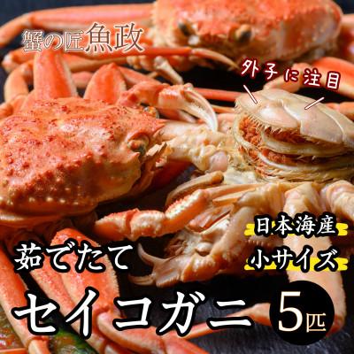 ふるさと納税 京丹後市 蟹の匠　魚政の内子外子が美味! 茹でたて セイコガニ(セコ蟹)(香箱ガニ)(こっぺ)小サイズ 5匹