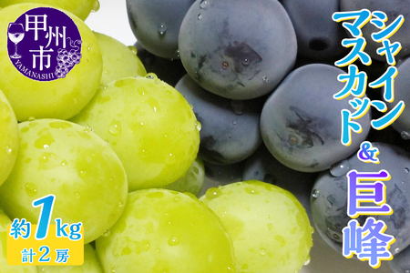 人気のシャインマスカット＆巨峰 2種食べ比べ 約1.0kg 2房【2026年発送】（LKS）B-852 シャインマスカット 巨峰 フルーツ
