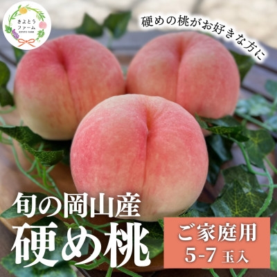 
                  ＜2026年先行予約＞「硬めの桃好きさん」におすすめ! 硬め桃 ご家庭用 5-7玉(岡山県産)_硬め 桃 家庭用 5玉 7玉 食感 フルーツ 岡山県 津山市 果物 フルーツ もも モモ 産地直送 送料無料【1696654】
                