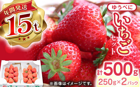 【先行予約】【2025年12月より順次発送】ゆうべに いちご 計500g いちご いちご いちご いちご いちご [YBI028]