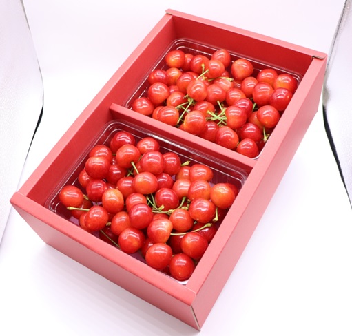 ★先行予約★【令和8年産】食の都庄内　庄内産さくらんぼ「紅秀峰」400gバラ詰め　※令和8年6月下旬～7月上旬頃発送予定 [HS4-256(庄内旬青果)] 「紅秀峰」400gバラ詰め