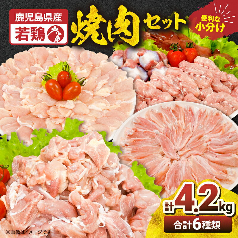 【ふるさと納税】 若鶏 焼肉 4.2kg セット カット済 国産 鶏肉 鶏 鶏モモ もも肉 切身 肝 砂肝 小肉 せせり チキンリブ 肩肉 唐揚げ 小分け 真空 冷凍 冷凍保存 大容量 ボリューム TRINITY 鹿児島 鹿屋市 おすすめ ランキング プレゼント ギフト