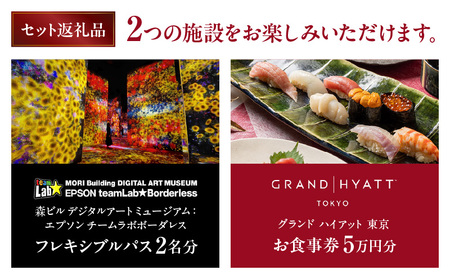 【ヒルズ周遊(麻布台・六本木)ペア体験】チームラボボーダレス/グランド ハイアット 東京 食事券