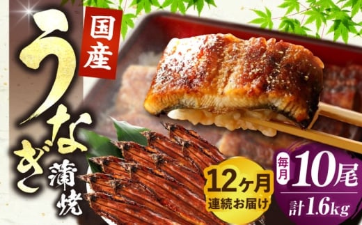 【全12回定期便】福岡県産 うなぎ 蒲焼 大 10尾 計1,600g（1尾あたり 160g以上）《豊前市》【福岡養鰻】 国産 鰻 ウナギ 蒲焼き [VAD029]