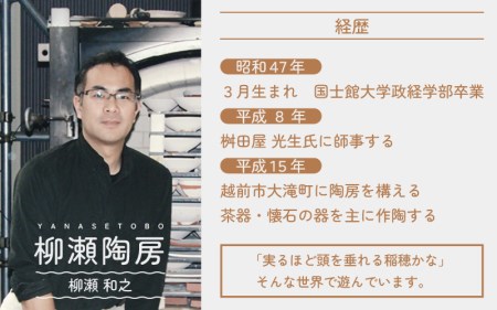 越前焼のふるさと越前町からお届け！柳瀬陶房 曇天釉 お皿とカップ「くつろぎのうつわ」 越前焼 越前焼き 【福井県 伝統工芸品 マグカップ 陶器 陶磁器 カップ 小皿】 [e25-a012]