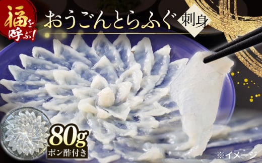 【高級とらふぐをご家庭で！】おうごんとらふぐ大皿刺身 合計80g【松永水産】 [KAB224]
