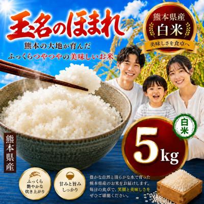 ふるさと納税 玉名市 【毎月定期便】熊本県産　玉名のほまれ(白米) 5kg全3回