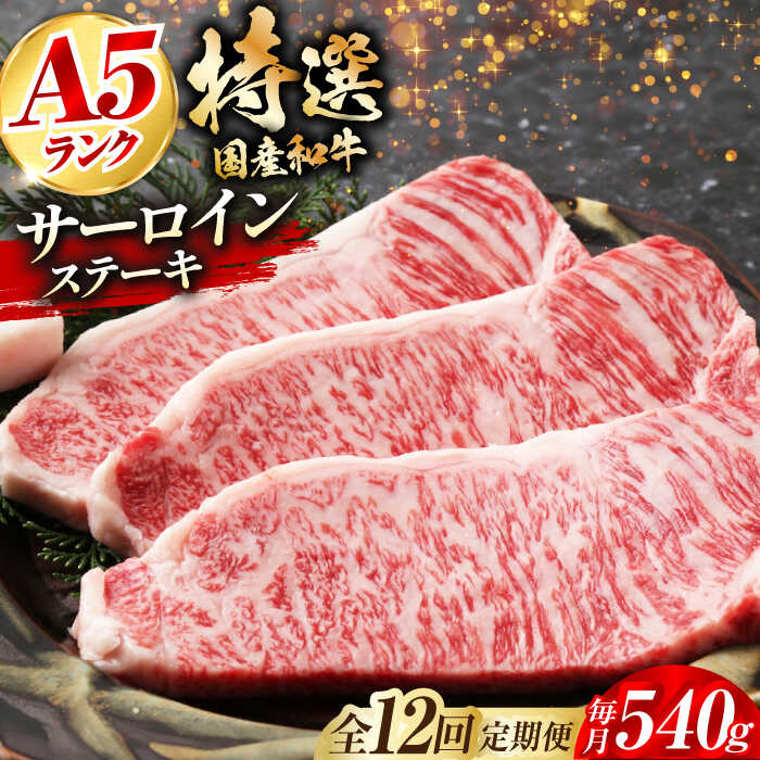 【ふるさと納税】【全12回定期便】国産和牛特上サーロインステーキ 180g×3枚 サーロインステーキ ステーキ肉 国産 和牛 A5ランク ギフト 霜降り 大阪府高槻市/株式会社ミートモリタ屋[AOAI028]