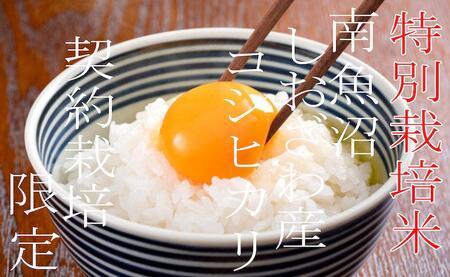 【令和7年産】【定期配送5Kg×6ヶ月】特別栽培 生産者限定  南魚沼しおざわ産コシヒカリ【2025年10月上旬より順次発送予定】