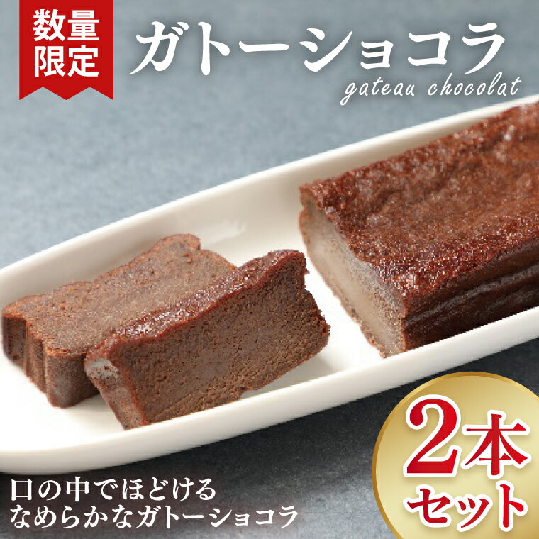 【ふるさと納税】【数量限定】ガトーショコラ2本セット【洋菓子 おやつ お返し 個包装 チョコ チョコレート ギフト 差し入れ ショコラ 冷凍 スイーツ デザート 水戸市 茨城県】（KM-2）
