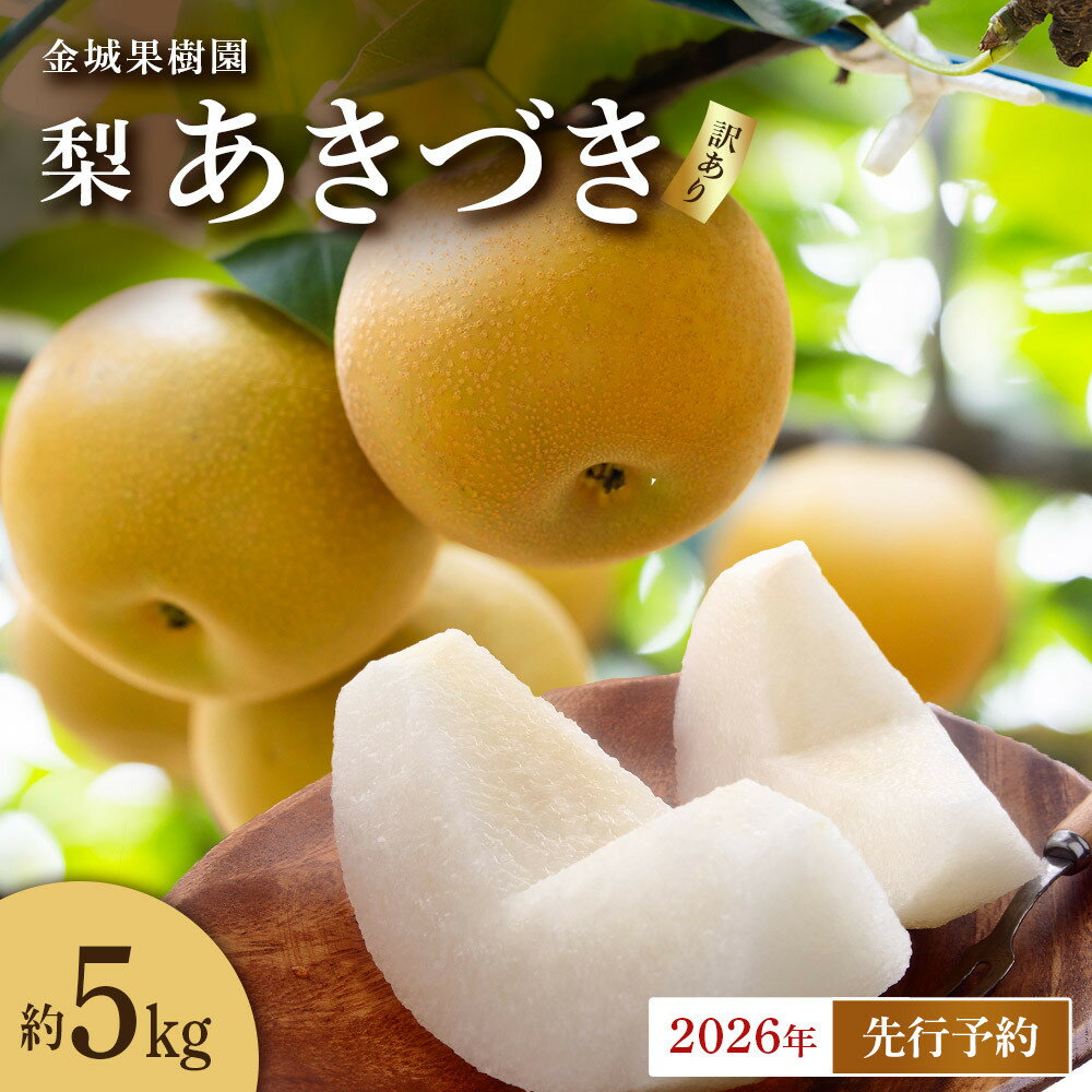 【ふるさと納税】【訳あり／2026年先行予約】金城果樹園　梨「あきづき」約5kg（8～14玉入）2026年9月中旬～順次発送 | フルーツ 果物 くだもの 食品 人気 おすすめ 送料無料