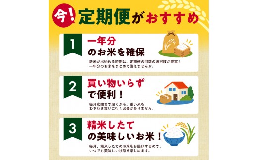 【11月中旬より配送】 コシヒカリ 4kg  6か月定期便 新潟県 上越市産 令和8年産 お米 精米 米 ご飯 送料無料