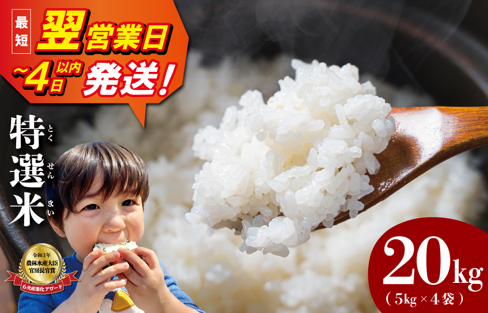 (有)松幸農産 特選米 20kg セット コシヒカリ お米 おこめ 三重県産 送料無料 5kg×4袋 小分け 冷めてもおいしい ふるさと納税 ふるさと 米 コメ こめ ギフト プレゼント 人気 お取り寄せ 三重米 新米 白米 精米 MK16