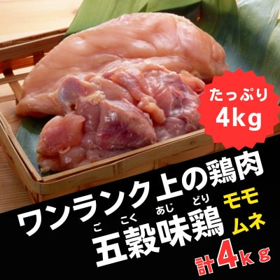 
五穀味鶏(ごこくあじどり)モモ肉・ムネ肉 各2kgセット(合計4kg)【1435731】
