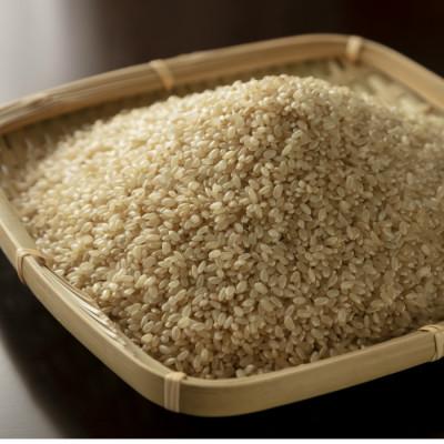 ふるさと納税 酒田市 雪若丸 玄米 5kg |  | 01