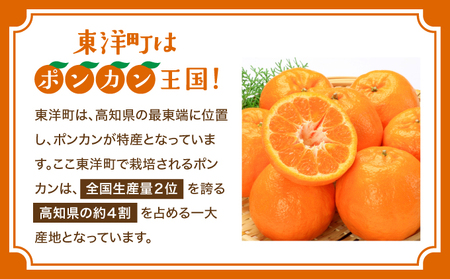 海駅製作所　焼き菓子セット MT021