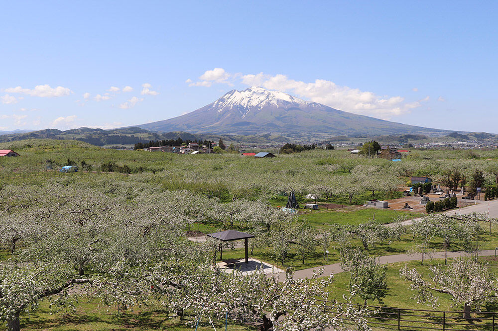 【寄附金額見直しました】【タクシーでらくらく移動】着地型弘前ねぷたまつり見学ツアー 2名様ご招待＜簡易書留＞ [ホテル宿泊券 ねぶた桟敷券 入場券 食事券]