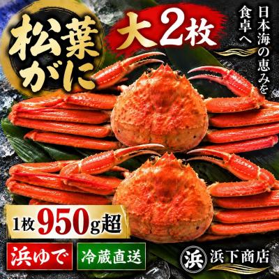 ふるさと納税 湯梨浜町 ■浜下商店■松葉ガニ大2枚〔浜ゆで〕(52MZ.)