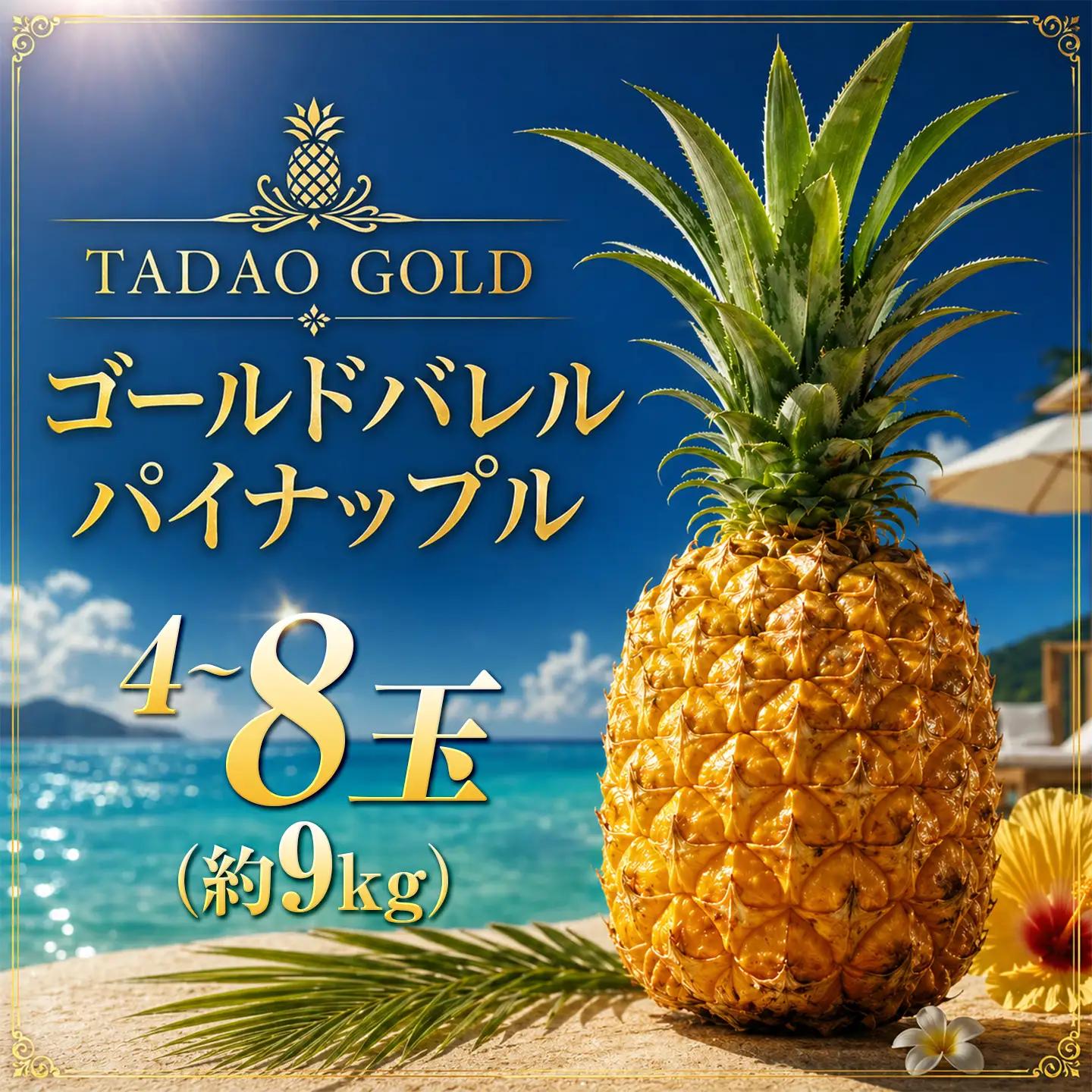 パイナップル TADAO GOLD 4～8玉 約9kg（多冠芽含む）