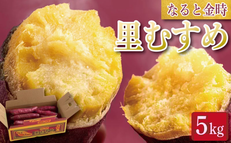 
            さつまいも 鳴門金時 5kg 2026年1月発送 なると 金時 Lサイズ 里むすめ 芋 野菜 スイーツ スイート チップス 棒 箱 詰め 紅 甘い お菓子 金時 大学 種類 生 調理 干し芋 焼き芋 ホクホク ケーキ 産地直送 黄 ふるさと ギフト 年 日 徳島 鳴門
          