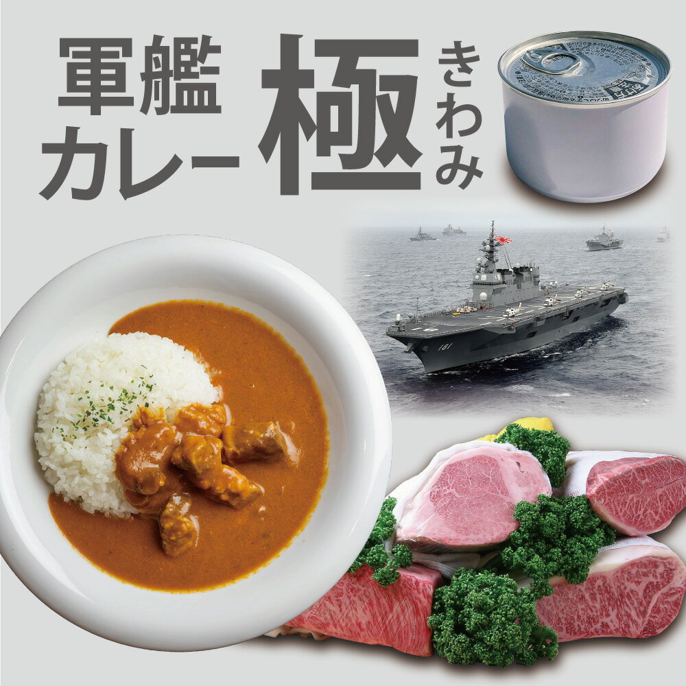 【ふるさと納税】 【お中元 ギフト】 京都舞鶴 軍艦カレー極 3缶 / 4缶 / 6缶 / 9缶 セット 210g/缶 CAN BRICK 長期保存 備蓄 災害 キャンプ 保存食 缶詰 カレー缶 カレー カレーライス 軍艦 缶 ビーフカレー