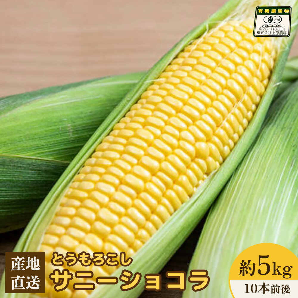 【ふるさと納税】【先行予約】上原農場直送 有機栽培とうもろこし (サニーショコラ) 約5kg 約10本入り | 北海道 中標津 とうもろこし とうきび 野菜 夏野菜 夏 産地直送 新鮮 採れたて 朝採れ ワンストップ マイページ 上原農場 中標津町【66019】