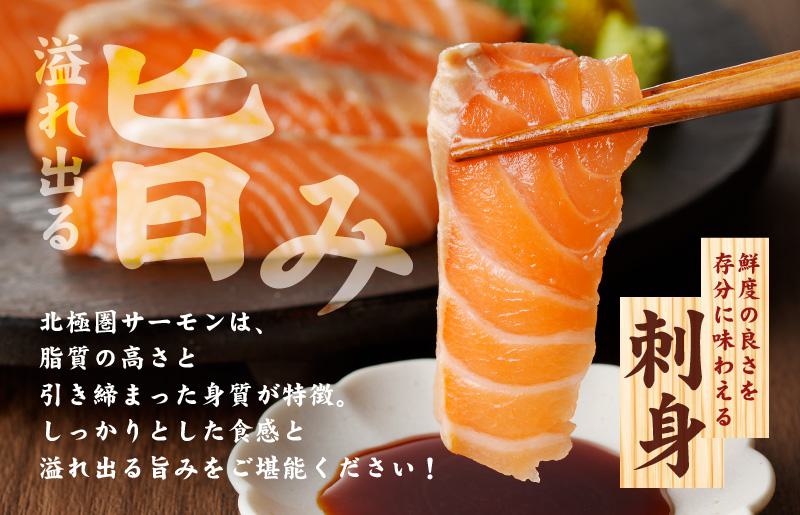 北極圏サーモン ポーション 1kg【高級 小分け 海鮮丼 人気 オススメ 小分け 冷凍 簡単調理 一人暮らし】 015B288