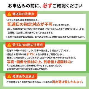 青森県産 シャインマスカット 秀品 1房 約600g 果物 ぶどう フルーツ 豊かな甘み 種無し 皮ごと 大粒 化粧箱入り デザート 