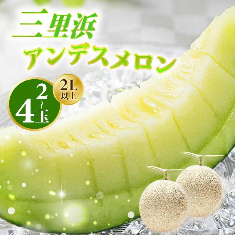【ふるさと納税】【先行予約】三里浜アンデスメロン 2L以上 × 2玉 / 4玉 【2026年6月下旬より順次発送】【メロン めろん フルーツ 期間限定 数量限定 旬 デザート 果物 くだもの 果実 赤肉 糖度 甘い ジューシー お取り寄せ グルメ 産地直送】