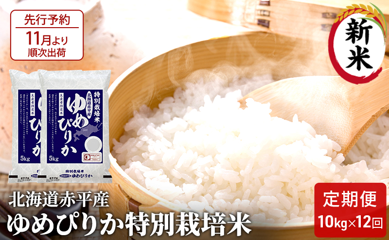 【先行予約2024年産米・11月より順次出荷】北海道赤平産 ゆめぴりか 10kg (5kg×2袋) 特別栽培米 【12回お届け】 米 北海道 定期便