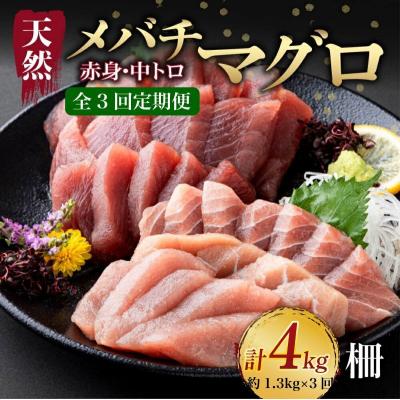 ふるさと納税 室戸市 【 3回定期便 】 天然 マグロ 中トロ 赤身 柵 計1.3kg以上