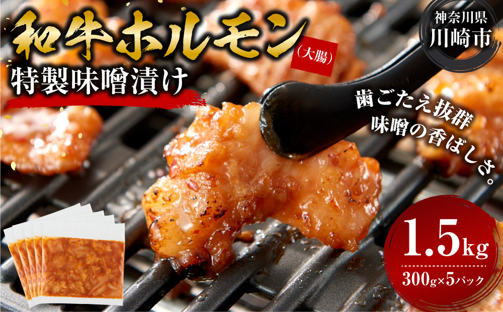＜訳アリ＞和牛ホルモン（大腸）　特製味噌漬け　1.5kg(300g×5）【2026年7月発送】 141305_KZ24VC07