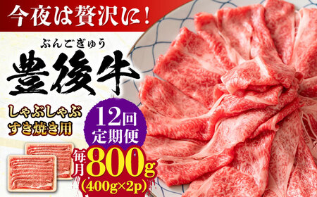 【全12回定期便】おおいた豊後牛 しゃぶしゃぶすき焼き用（肩ロース・肩バラ・モモ）800g(400g×2) 日田市 / 株式会社MEAT PLUS　 牛 和牛[AREI073]