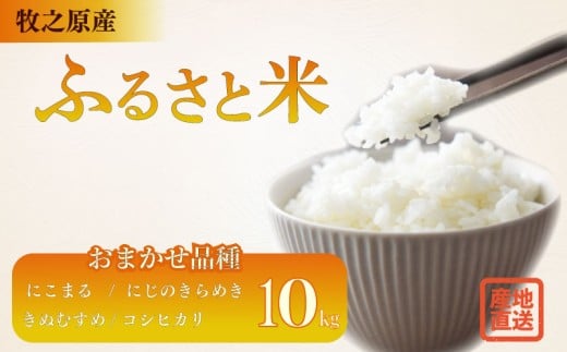 お米 10kg 品種 おまかせ 【 にこまる にじのきらめき きぬむすめ コシヒカリ 】 お米 米 白米 おこめ こめ 精米 ご飯 ごはん おいしい 国産 日用品 おこめ 米 白ご飯 ごはん ご飯 お米 10kg 米 こしひかり 人気 こめ おこめ 贈答 プレゼント ギフト おすすめ 食品 お弁当 和食 洋食 ご飯 日本 安心 牧之原米 静岡米 産地直送 農家直送 静岡県 牧之原 大塚ファーム