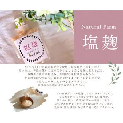 ふるさと納税 枕崎市 塩麹(坊津の華)1個 Y0-39 |  | 02