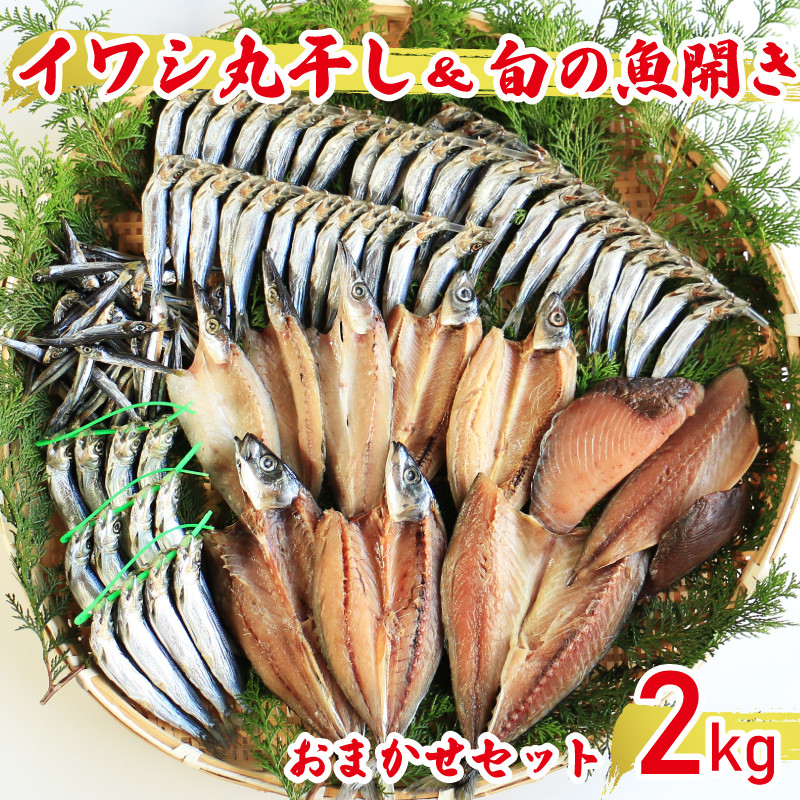 
【訳あり】魚の丸干し＆開き おまかせセット2kg 魚 海鮮 干物 ひもの 丸干し 切り身 おつまみ おかず 新鮮 魚介 天然 乾き物 乾物 酒のあて ごはんのおかず 人気 珍味 グルメ 規格外 国産 旬 季節 武久海産 愛媛 愛南
