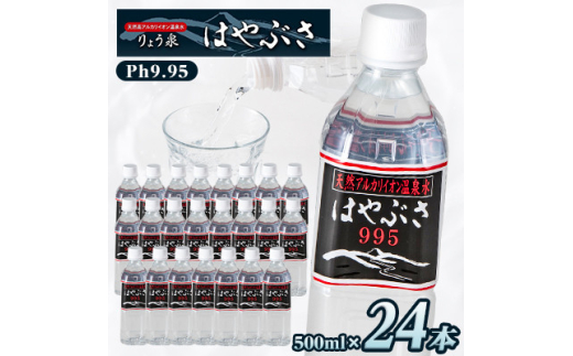 【毎月定期便】りょう泉はやぶさ　995〈500ml×24本〉全6回【4058673】