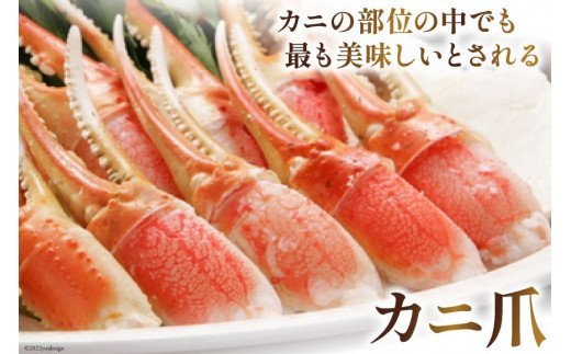 リピーター続出！ 本ずわいがに爪 約700g [カネダイ 宮城県 気仙沼市 20564321] 蟹 かに カニ ずわいがに ズワイガニ ずわい蟹 ズワイ蟹 ずわい ズワイ 蟹 カニ爪 蟹爪 カニ爪肉 つめ 爪 ボイル